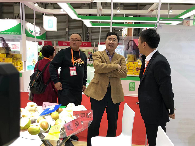 辛集市市委常委統戰部部長張向，農業農村局副局長呂潤航等領導帶團參加了在上海舉辦的亞洲果蔬博覽會